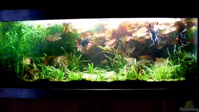 Becken 14057 von Kleiner_Fisch