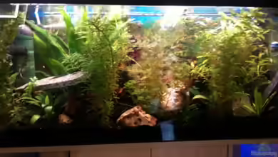 Becken 14248 von Tim Kohlenbecker