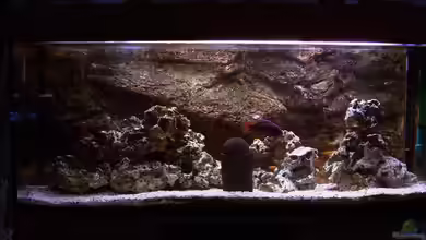 Becken 1425 von Michael Beig