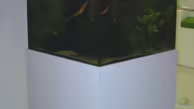 Becken 14321 von Stephan Sigg