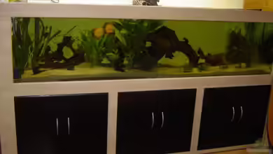 Becken 1448 von Alex Niess