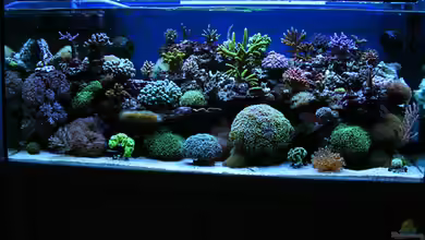 Becken 14482 von Jürgen Krohmer