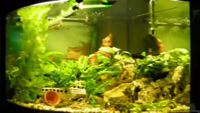 Becken 14522 von Andreas Kärrner