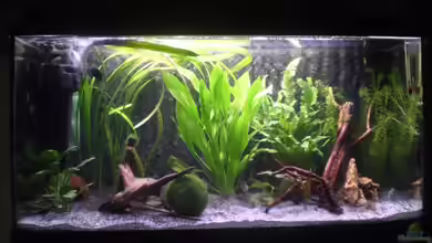 Becken 14594 von smapo