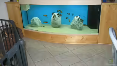 Becken 14613 von Kasanga