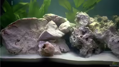 Becken 1466 von Heiko Betz