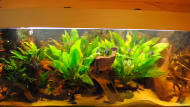 Becken 14683 von holzmichel