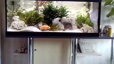 Becken 1473 von Steffen Abicht