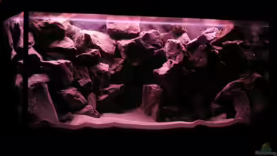 Becken 14832 von Mahlomolo