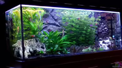 Becken 14880 von Josch_TJ