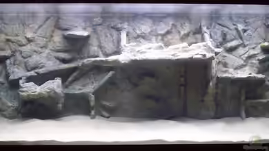 Becken 14993 von Vili