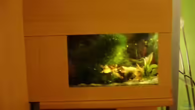 Becken 15071 von Mr. Müller