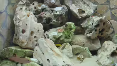 Becken 1510 von Andreas Husemann