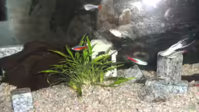 Becken 15139 von Christian Huber