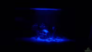 Becken 15166 von EagleHunter