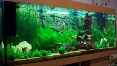 Becken 15187 von Andreas Zollmann