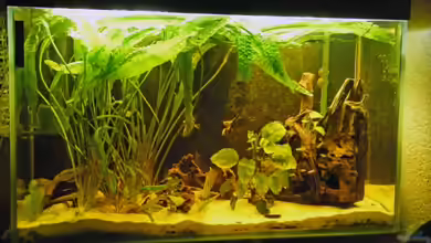 Becken 1522 von Monika Thiele