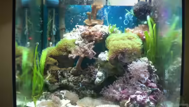 Becken 15276 von Maverick0815