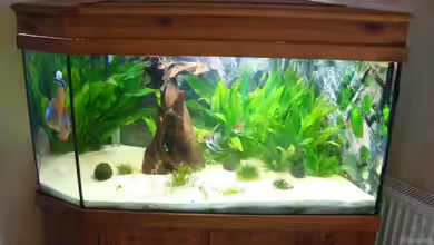 Becken 15331 von Jens Gebers