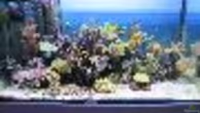 Becken 15549 von water13