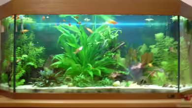 Becken 15911 von Manuel Brandt