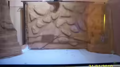 Becken 16069 von rolli174