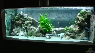 Becken 1609 von Timo Tschöpel