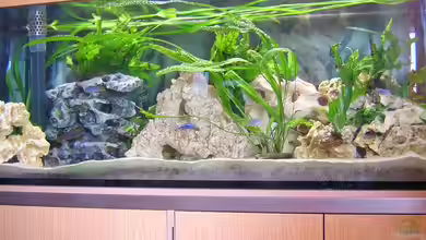 Becken 1613 von Klaus und Claudia Salzmann