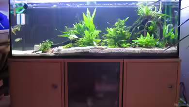 Becken 1617 von Sonja Möller