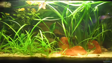 Becken 1626 von Markus Hutterer