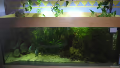 Becken 1632 von Robin Bucksch