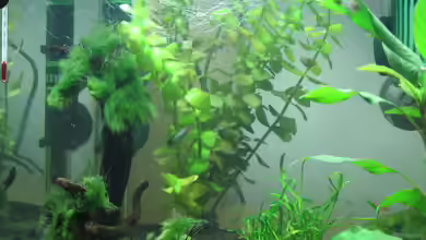 Becken 16336 von Patrick Schuler