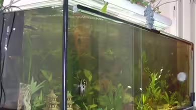 Becken 16345 von sandmann73