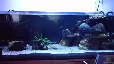 Becken 1635 von Nicolay Brätter