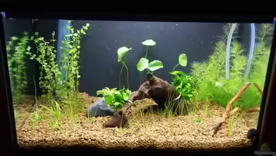 Becken 16364 von Paul123