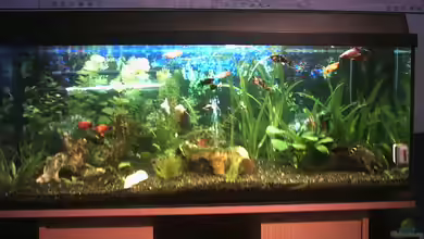 Becken 1649 von Stefan von Oettingen