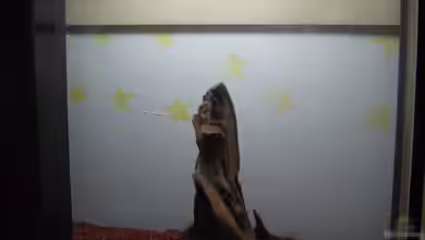 Becken 165 Liter von Michael Meyer