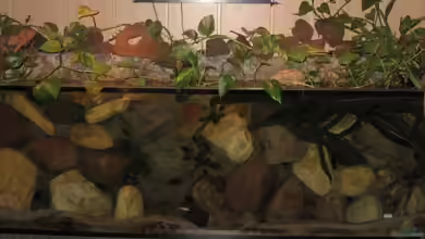 Becken 1650 von Björn Bönsch