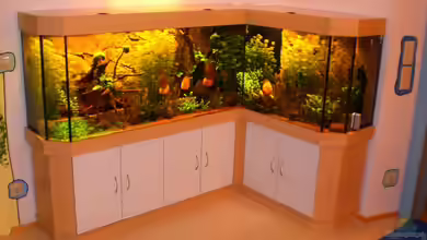 Becken 16618 von Daniel O.