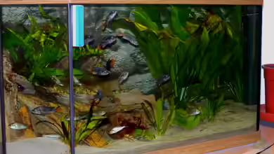 Becken 16656 von Vicifreak