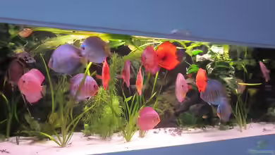 Becken 16666 von Andreas L