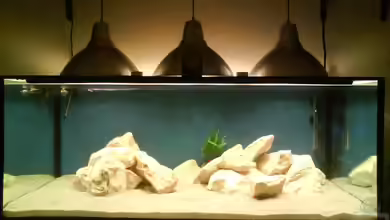 Becken 16669 von Blubb Blubb