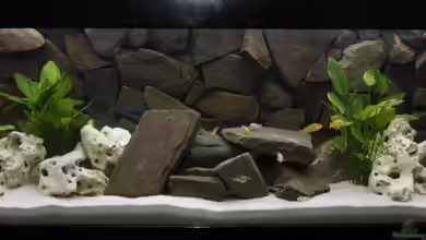 Becken 16766 von De_Andyman