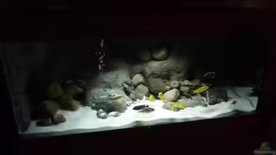 Becken 16993 von Philipp Müller