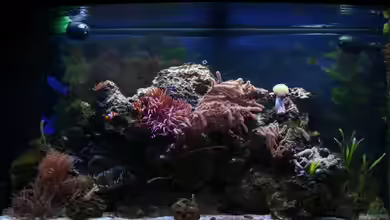 Becken 17284 von Aquarienfreude