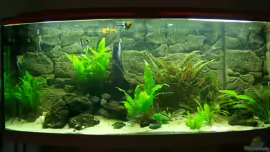 Becken 17523 von Aspel82