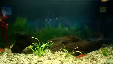 Becken 1765 von Heiko Mietz