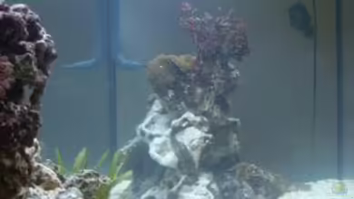 Becken 17663 von andi1