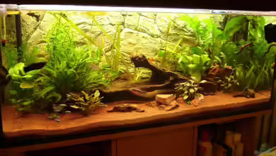 Becken 17665 Red River von Michael Hermes