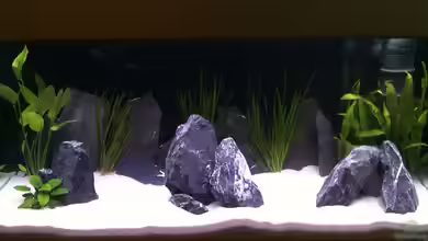 Becken 17730 von Kevin Steinmann